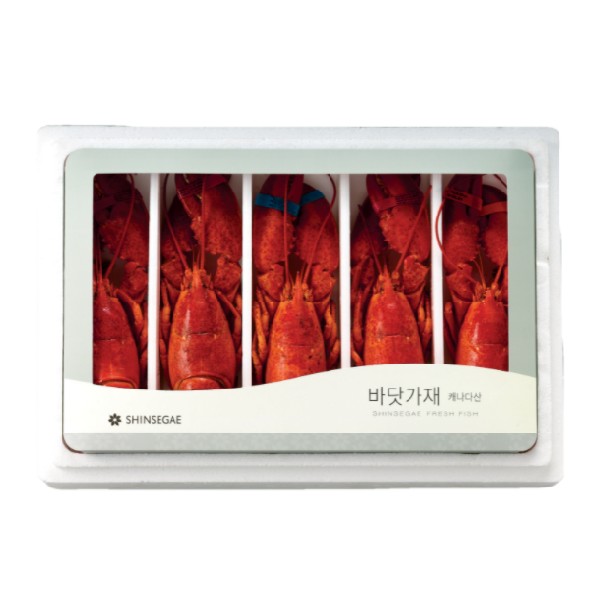 바닷가재